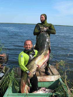 Подводная охота в дельте Волги, в Астрахани. Рекордный сом.