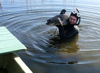 Подводная охота на сома в дельте Волги.